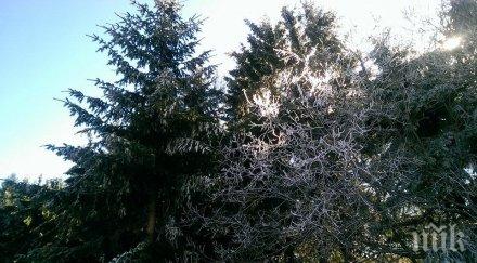 слънцето радва неделя уикендът започва високи температури