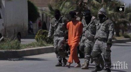 германското разузнаване стряскащо разкрите бойците ислямска държава