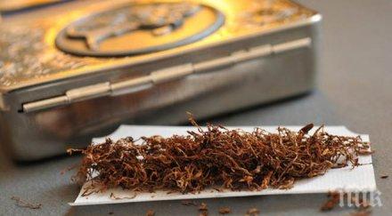 пробив вече пушим цигари гмо тютюн