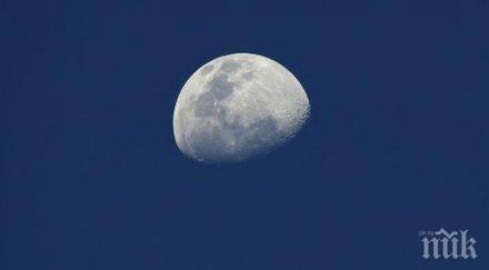 внимавайте луната замъглява съзнанието