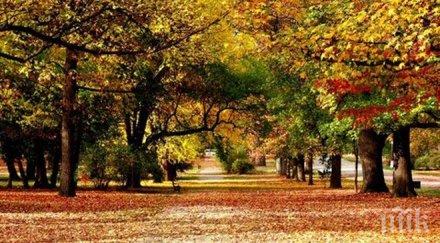 слънцето усмихне почти тихо термометърът сочи 13°