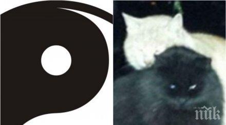 знаете живеят пловдив кючука снимки