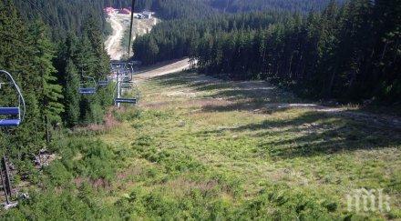 разкритие две офшорни фирми окупирали горите