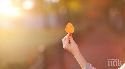 обрат грейва слънце температурите покачват