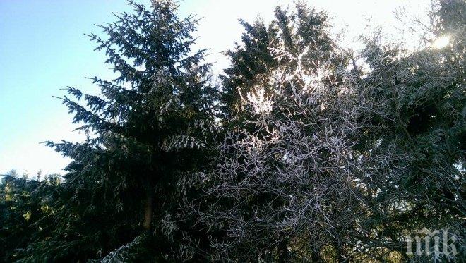 Слънцето ще ни радва до неделя! Уикендът започва с още по-високи температури