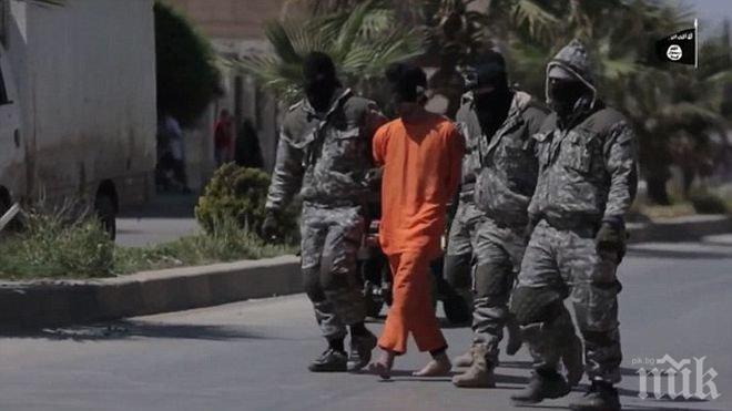 Германското разузнаване със стряскащо разкрите за бойците на Ислямска държава