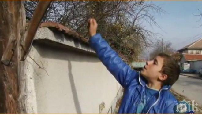 Похвално! 12-годишен залови крадец 