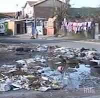 Екокатастрофа! Незаконно сметище сее зарази в Бургас