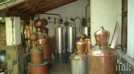 страшно домашната ракия убива циановодородна киселина