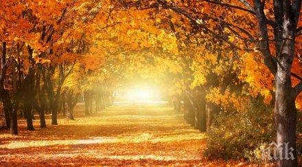 времето усмихва слънчево сравнително топло