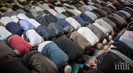 милиони иракчани събраха шиитско поклонение