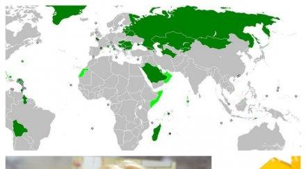 русия отказва плоския данък въвежда прогресивна скала