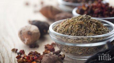 една подправка лекува всички болести вижте