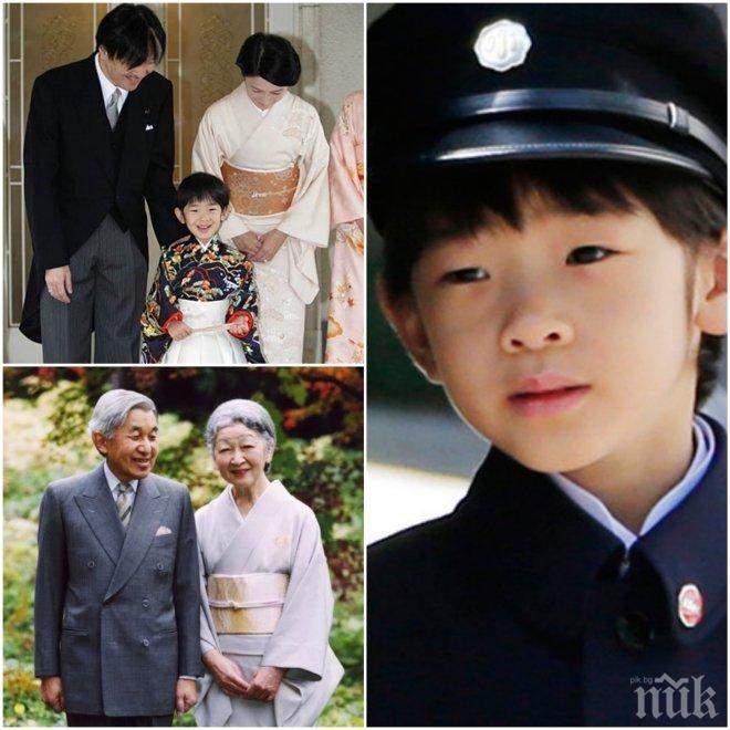 Катастрофира единственият внук на японския император