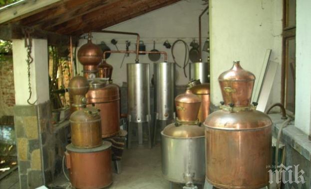 СТРАШНО! Домашната ракия ни убива с циановодородна киселина