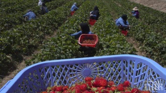 Хърватия търси 12 хил. чуждестранни работници