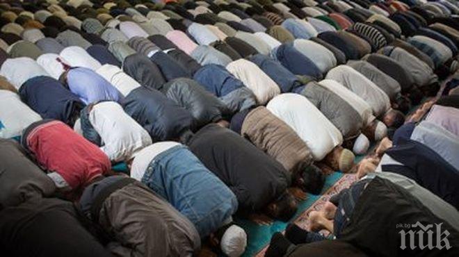 Милиони иракчани се събраха за шиитско поклонение