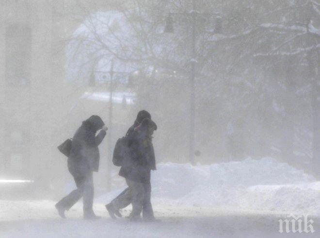 Снежни виелици объркаха плановете на американците за Деня на благодарността (ВИДЕО)