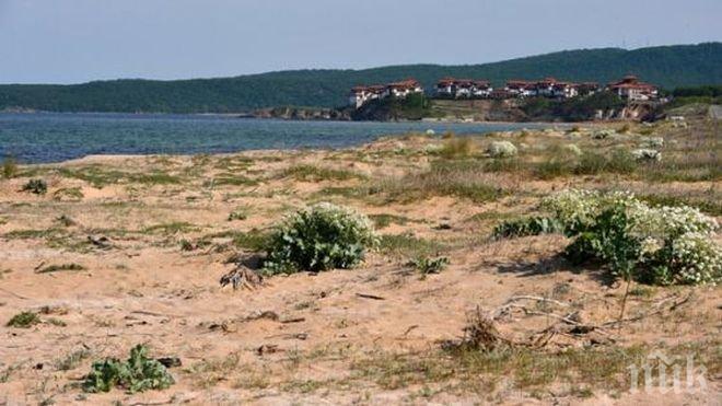 МИРИШЕ НА ДАЛАВЕРА! Екоминистерството намали с 50 декара защитена местност край Созопол
