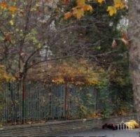 Зрелищен арест в Бургас! Сгащиха добре облечен млад мъж пред слисаните погледни на десетки минувачи