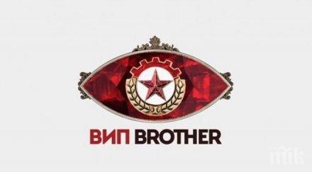 сензация звезда вип брадър спи травестит снимки