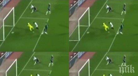 лъвовете прогрес