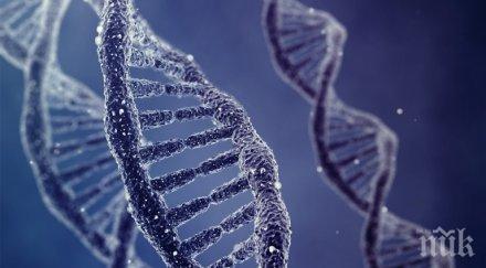 извиват ръцете учени обявят наследници траките