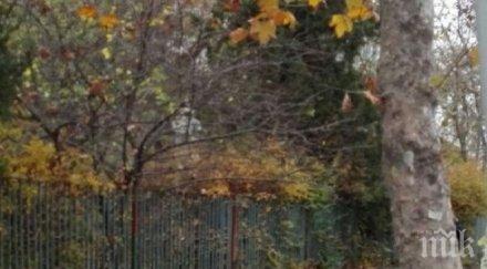 зрелищен арест бургас сгащиха добре облечен млад мъж слисаните погледни десетки минувачи