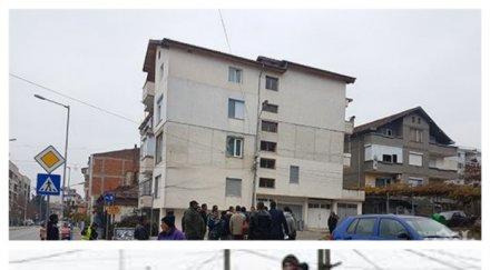 извънредно цигани окупираха горското петрич заплашват масова сеч видео