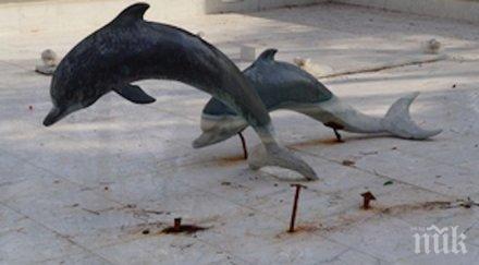 потрес вандали изпотрошиха делфините центъра търговище