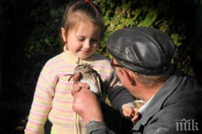 Паника в Мездра! Педофил дебне на улицата