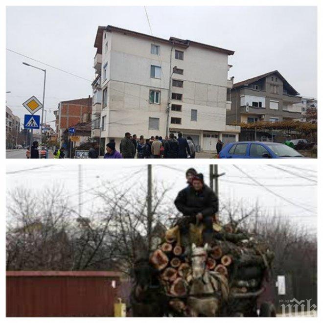 ИЗВЪНРЕДНО: Цигани окупираха Горското в Петрич, заплашват с масова сеч (ВИДЕО)