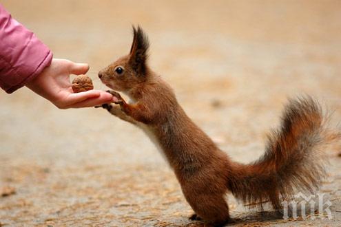 Катеричка-камикадзе отмъсти на политик от Чикаго