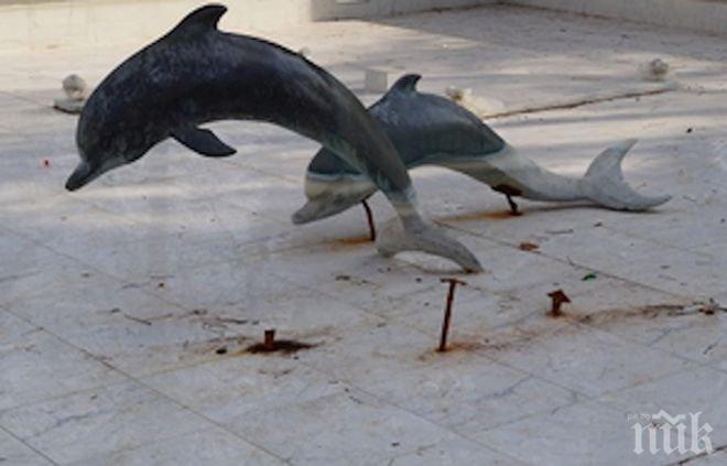 Потрес! Вандали изпотрошиха делфините в центъра на Търговище