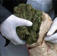 Полицията в Бари конфискува 1550 кг марихуана