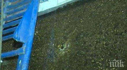 извънредно неизвестен стреля тролей москва