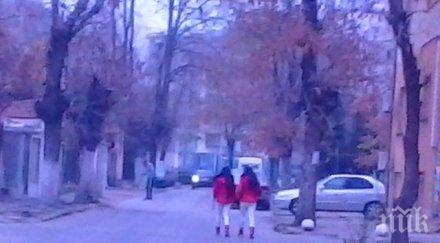 подранили снежанки търсят дядо коледа