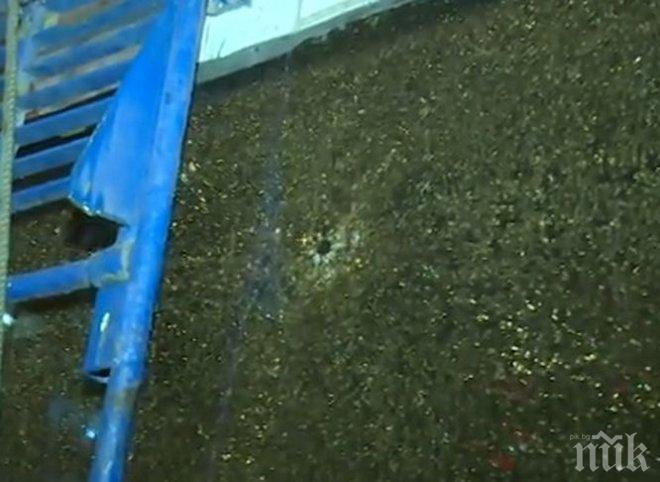 Извънредно! Неизвестен стреля по тролей в Москва