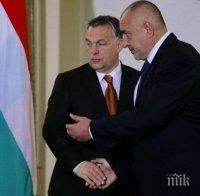 ПЪРВО В ПИК! След като награди Бойко Борисов, Виктор Орбан отсече: Бъдещето и съдбата на Европа днес се решават на южната граница на България
