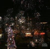 Коледната елха на София грейва утре в парка на НДК