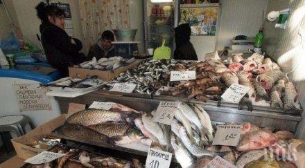 българският шаран пак лева хърватският удари лева кило филе