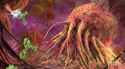 пробив руски американски учени сензационно откритие молекула терминатор унищожава рака