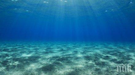 сензация жул верн излезе прав откриха океан 1000 повърхността земята