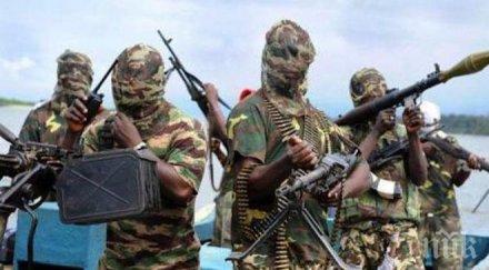 германската левица планира отнеме личното огнестрелно оръжие екстремистите