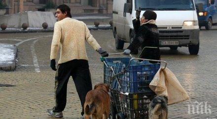 доклад нищетата съсипва живота ромите българия