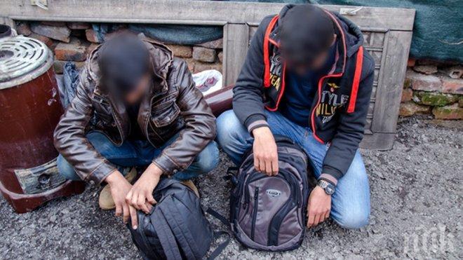 В родните села: Гладни бежанци тормозят старци, тропат им по вратите нощем