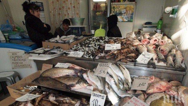 Българският шаран пак е 7 лева, хърватският удари 22 лева за кило филе