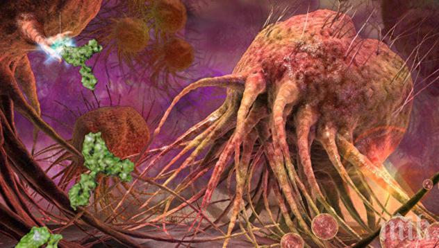 ПРОБИВ! Руски и американски учени със сензационно откритие - молекула терминатор унищожава рака