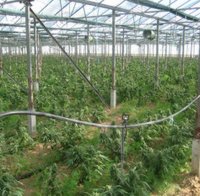 Разбиха нарколаборатория и конфискуваха близо 50 000 евро