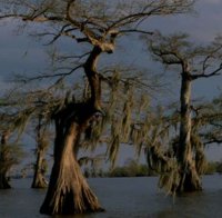 Вижте 10-те най-мистериозни и страшни места в света